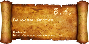 Babocsay Andrea névjegykártya